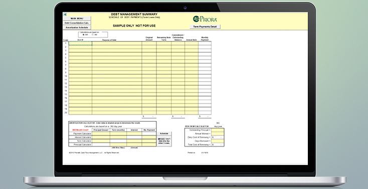 Debt-Management-Summary-001-734x378