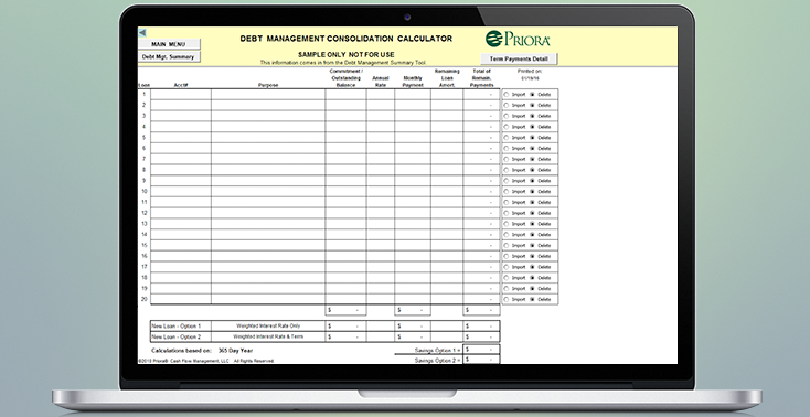 Debt-Management-Summary-002-734x378