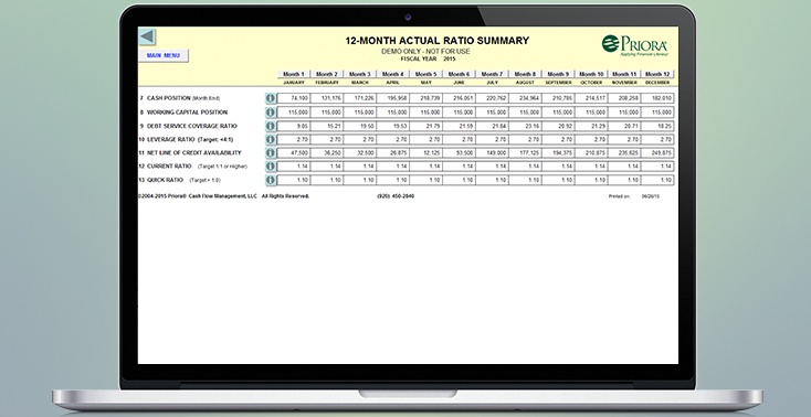 12-Month-Actual-Ratio-Summary-pb-734x378