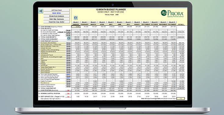 12-Month-Budget-Planner-pb-734x378