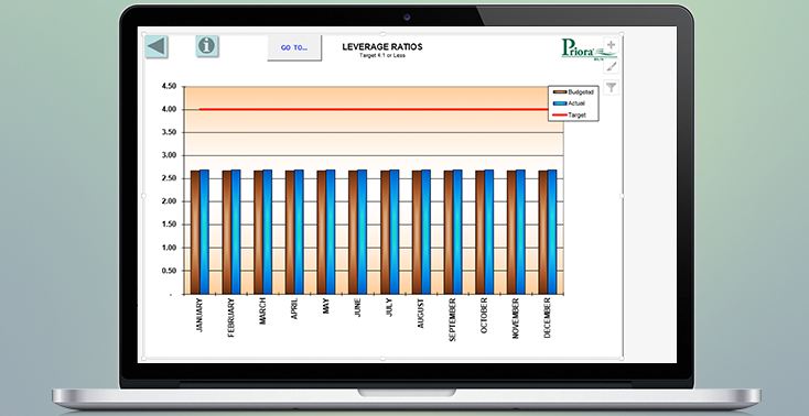 Leverage-Ratios-Nine-Graphs-pb-734x378